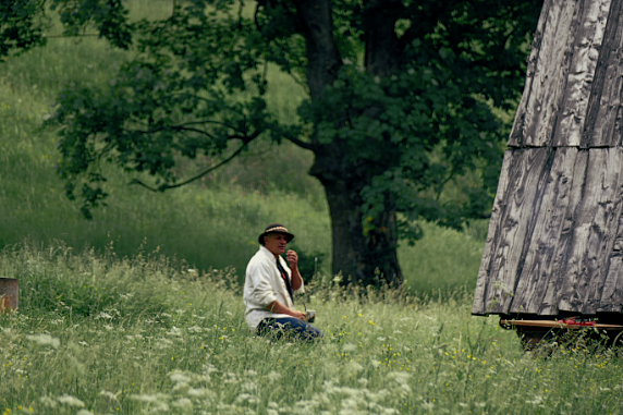 Pieniny dają wolność 