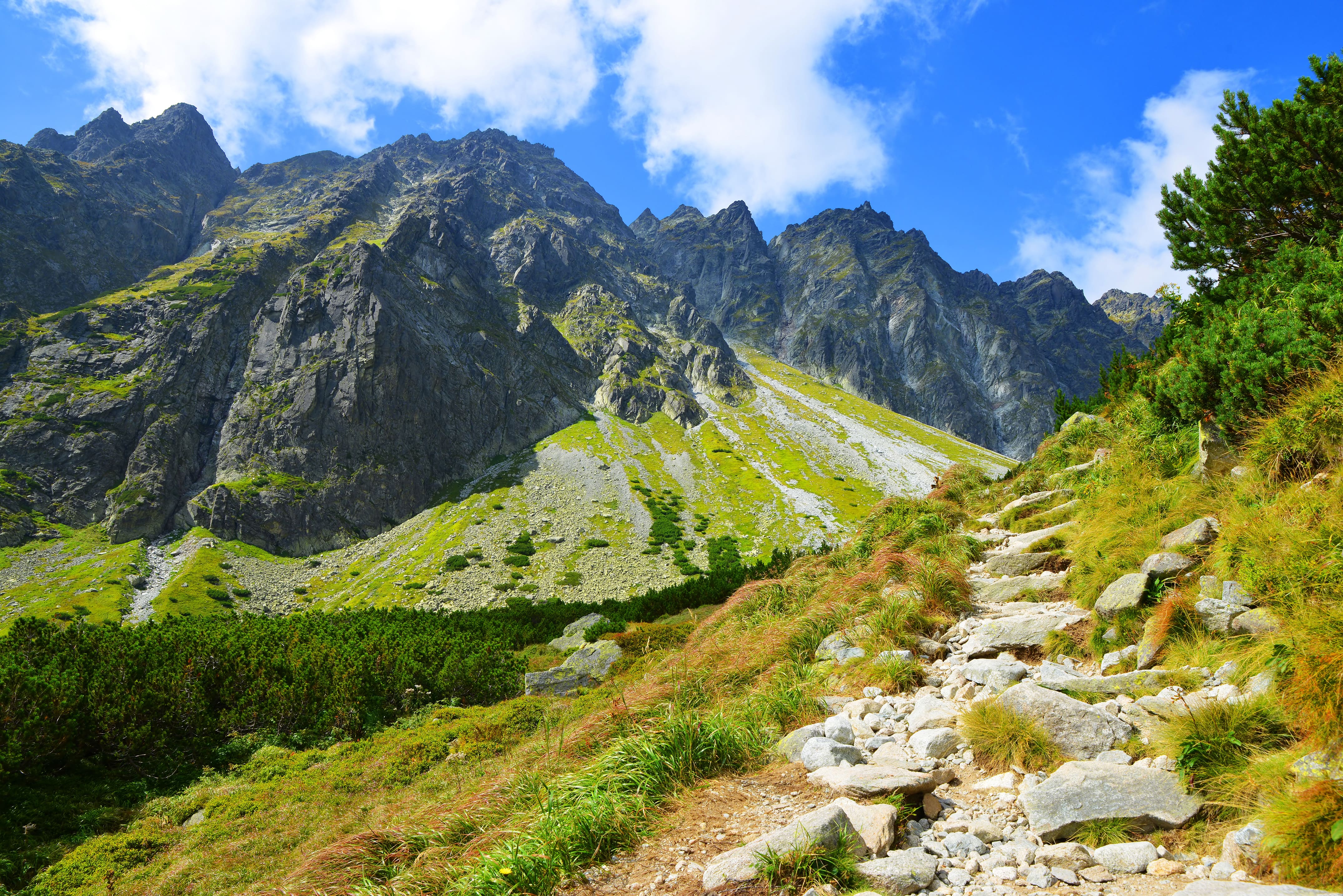 Tatry pobudzają zmysły!