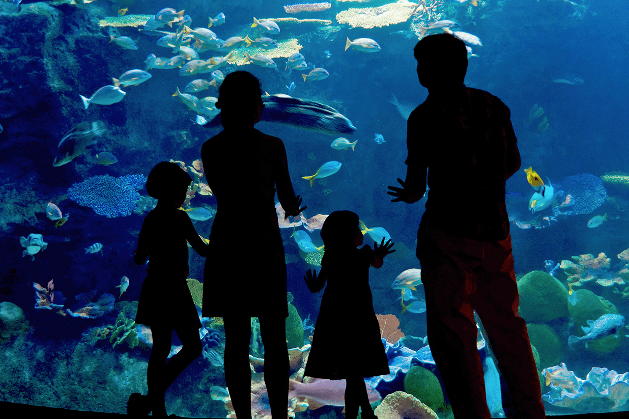 Ferie zimowe w mieście – jakie atrakcje dla dzieci