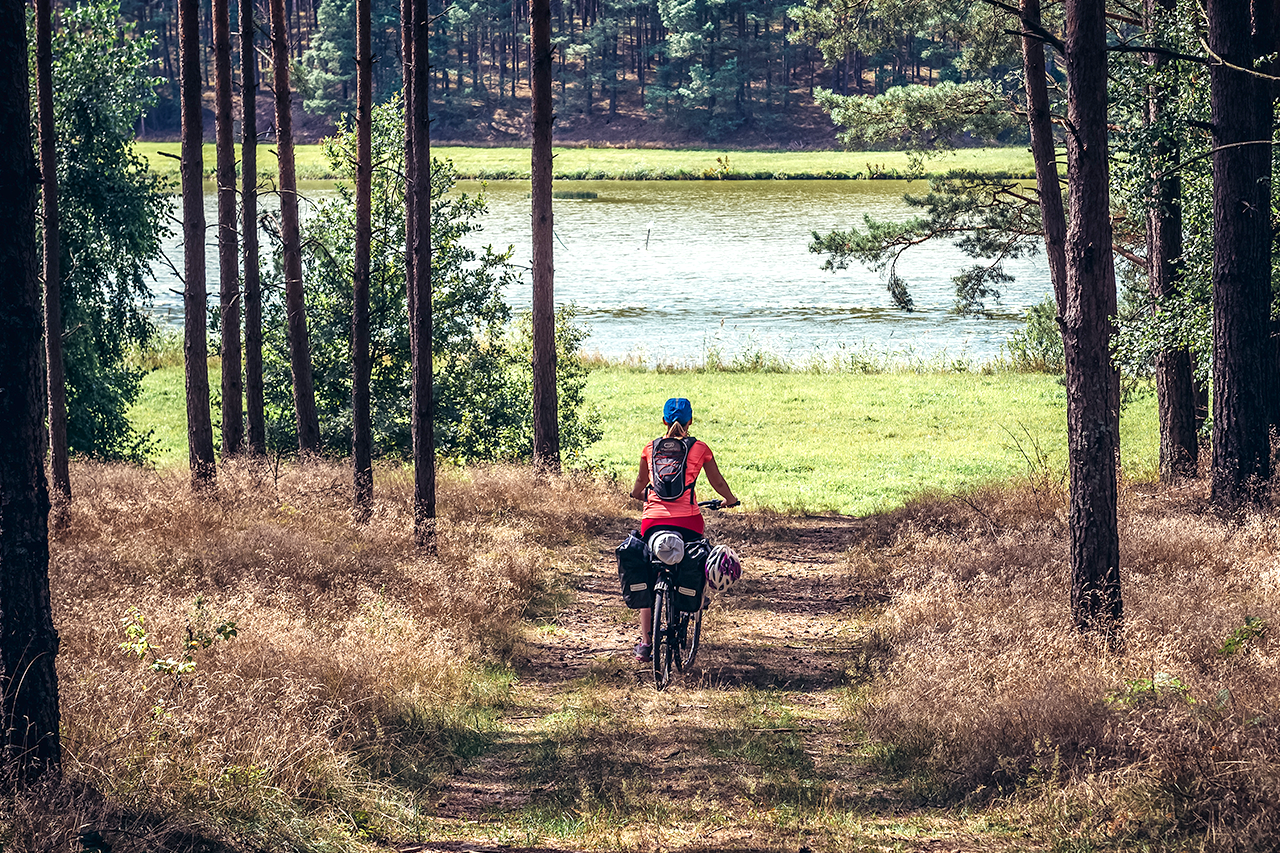 Kaszuby na dwóch kółkach - zabierz rower na wakacje z POLREGIO