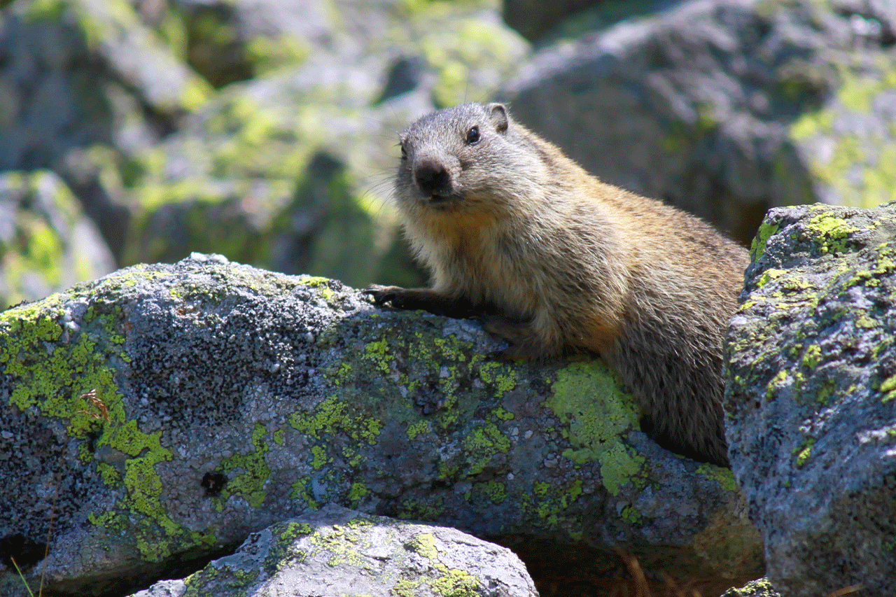 W poszukiwaniu wiosny - najpiękniejsze miejsca w Polsce na wyprawę za miasto