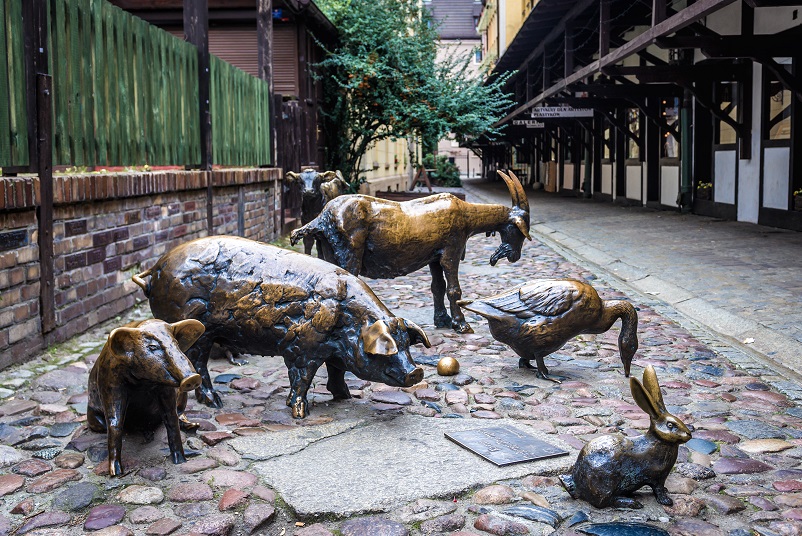 Wrocław – atrakcje, które warto zaplanować na aktywny weekend na jesieni