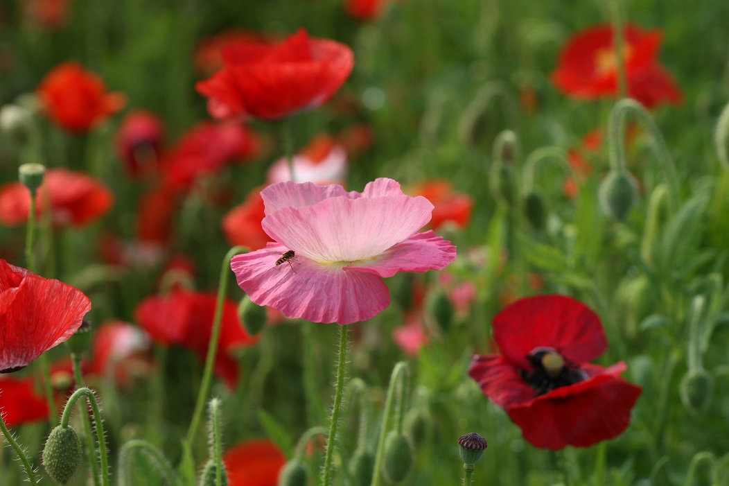 Gdzie pojechać na weekend w Polsce?