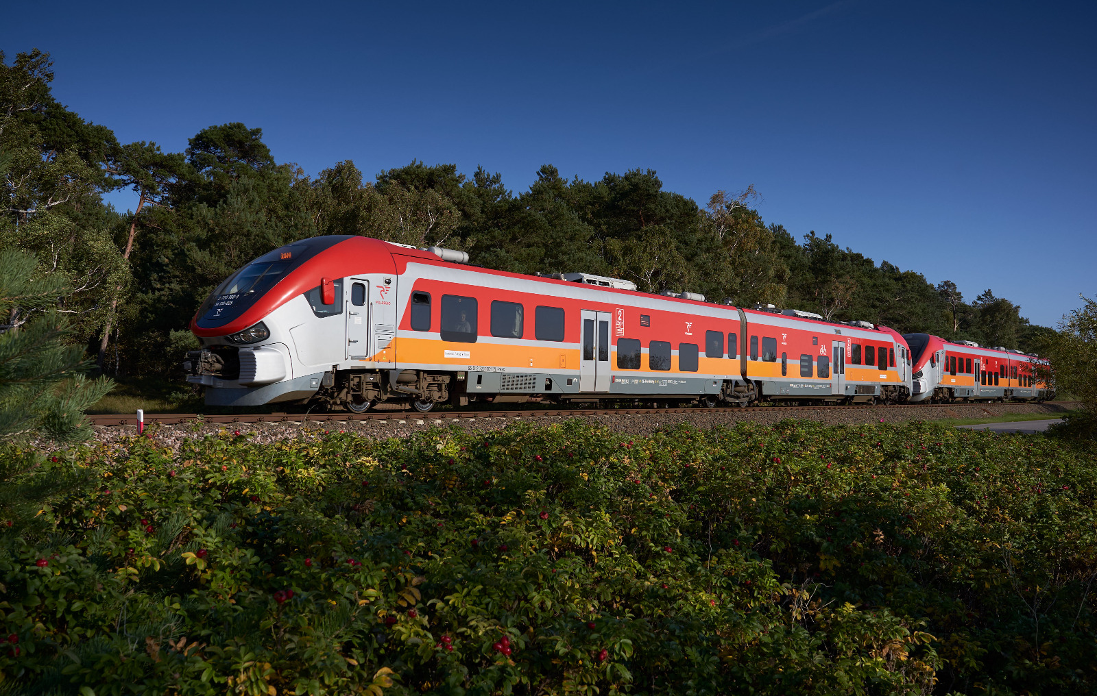POLREGIO bije kolejny rekord.  Niemal 77 mln pasażerów przewiezionych od początku tego roku