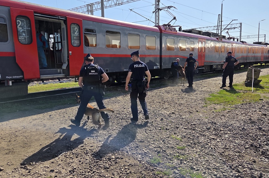 Łódź: policjanci i SOK z psami ćwiczyli w pociągach POLREGIO