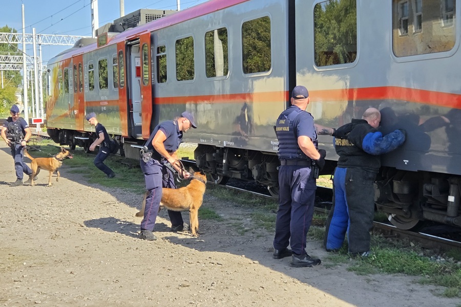 Łódź: policjanci i SOK z psami ćwiczyli w pociągach POLREGIO