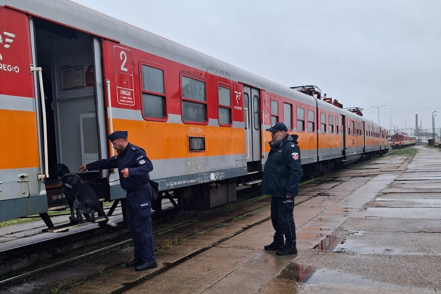 Czworonożni agenci w pociągach POLREGIO. Służby trenowały na bocznicy w Iławie