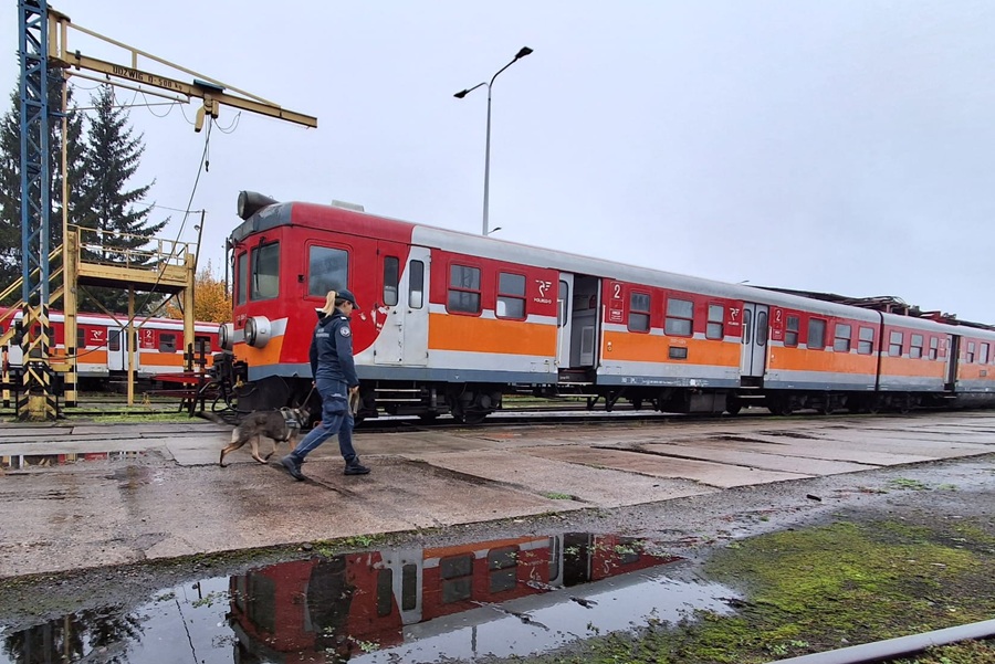 Czworonożni agenci w pociągach POLREGIO. Służby trenowały na bocznicy w Iławie